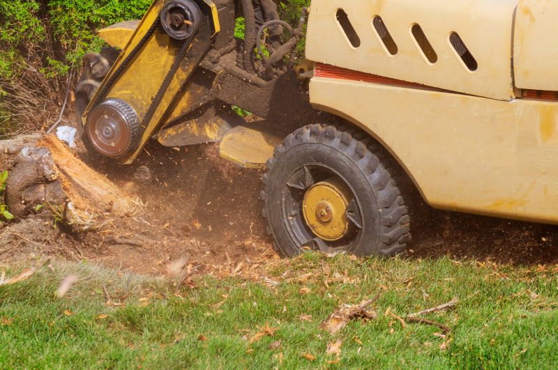 Stump Removal Equipment
