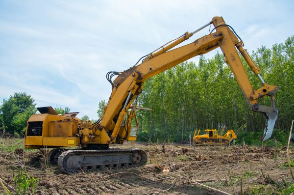 Farm Clearing in Garner