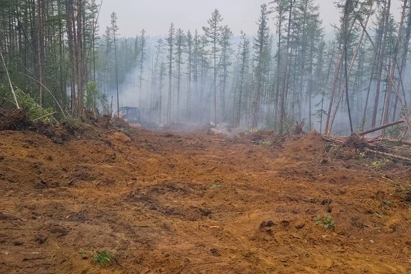 Hill Clearing in Garner